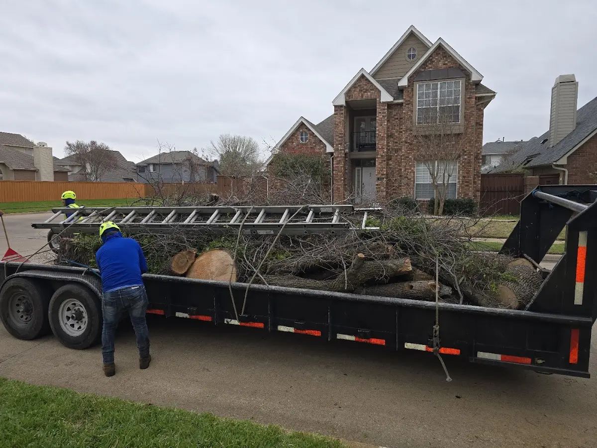 Expert Tree Removal with proper safety equipment in Oak Grove